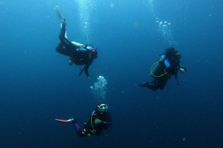 Cursos de Buceo en Isla Catalinas