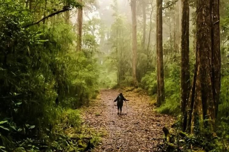 La Cordillera de Talamanca en Costa Rica
