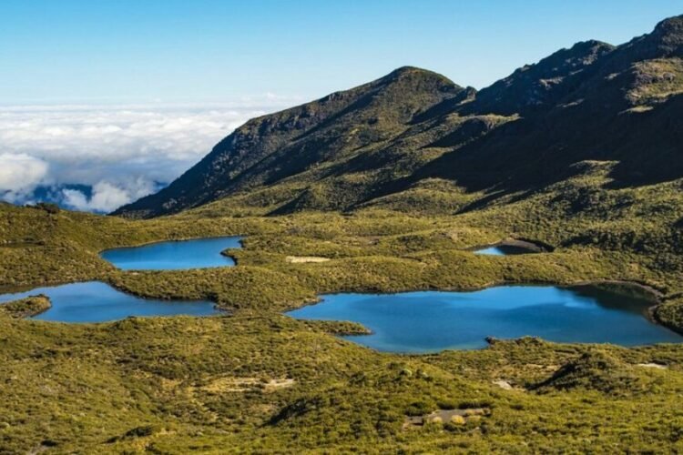 Parque Nacional Chirripó en San José