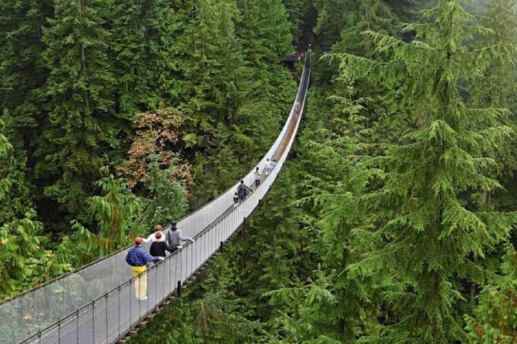 Región de Monteverde: ¿Cómo llegar a Monteverde Costa Rica? (2025)