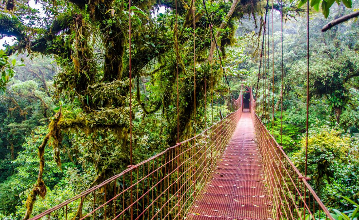 Descubre Monteverde en Costa Rica