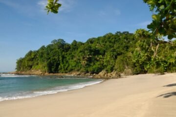 Todo lo que necesitas saber para visitar Manuel Antonio